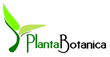 Logo von Planta Botanica