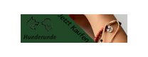 Logo von Ali Express